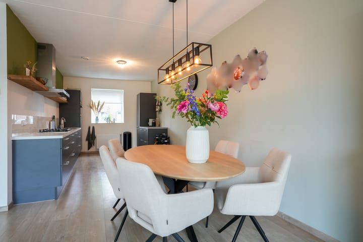 Foto 8 van Lijster 8