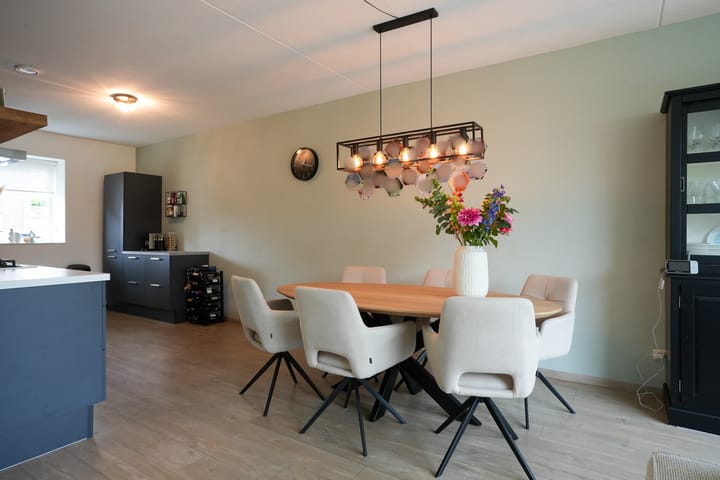 Foto 12 van Lijster 8