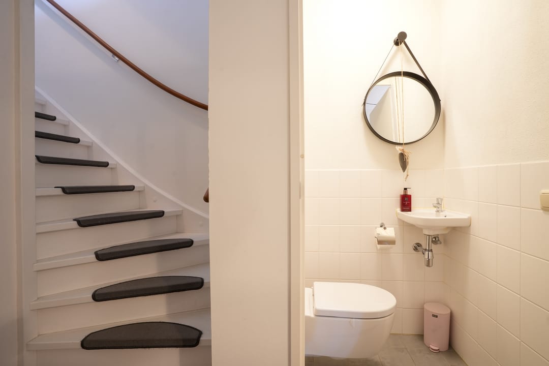 Foto 7 van Lijster 8