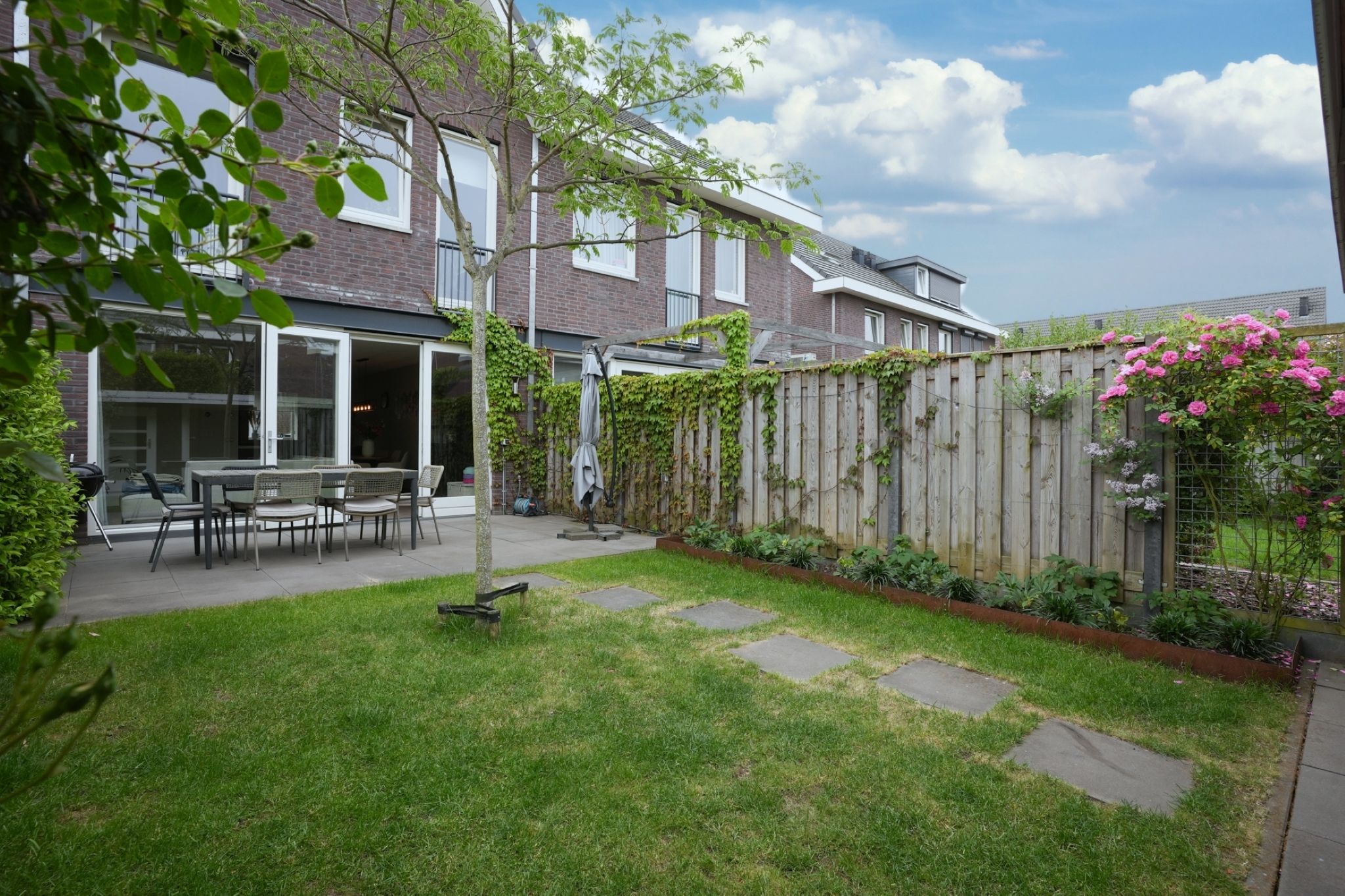 Foto 36 van Lijster 8