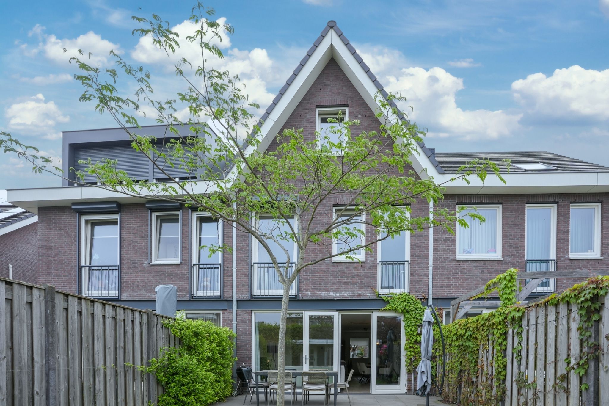 Foto 42 van Lijster 8