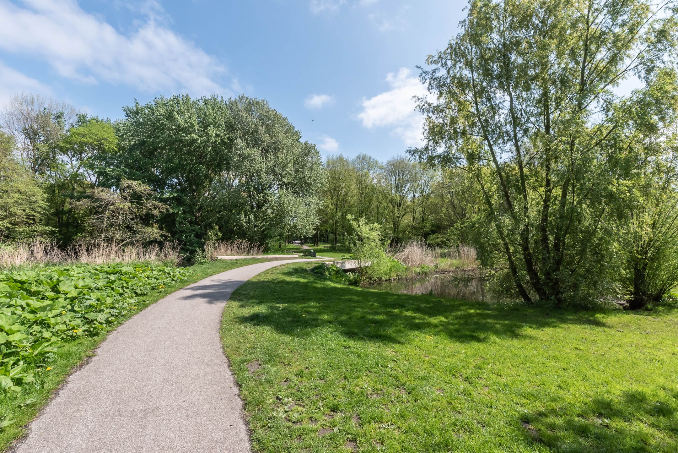 Foto 42 van Postjeskade 207-3