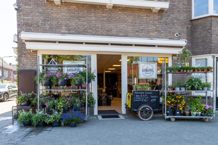 Foto 40 van Pastoor Pottersplein 9