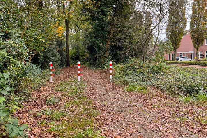 Foto 34 van Lavendel 21