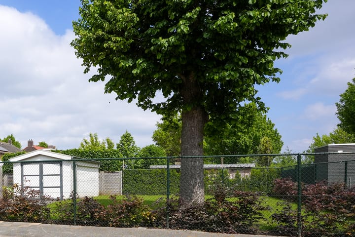 Foto 17 van Beuteweg 27