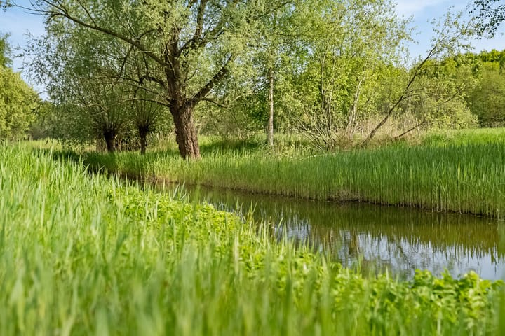 Foto 36 van Augustijnenhove 17