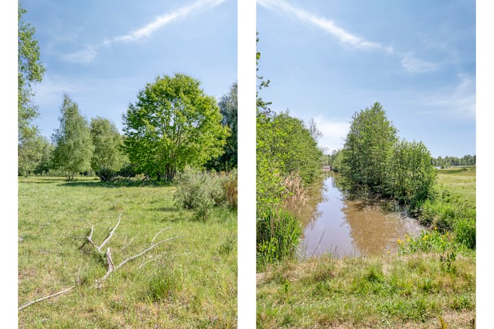 Foto 24 van Spaarnwoudelaan 13