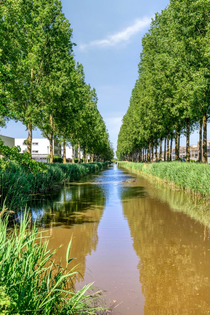 Foto 25 van Spaarnwoudelaan 13