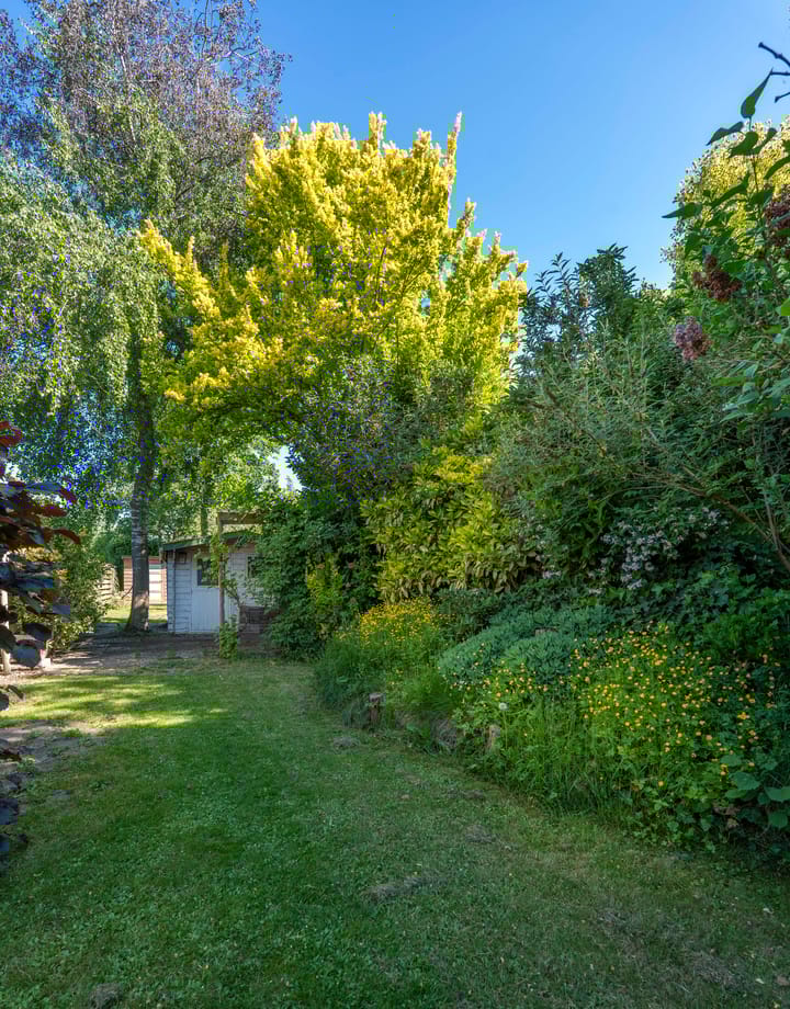 Foto 41 van Vlasstee 6