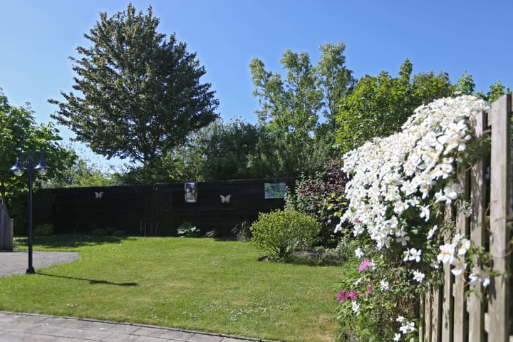 Foto 2 van Wetterroas 6