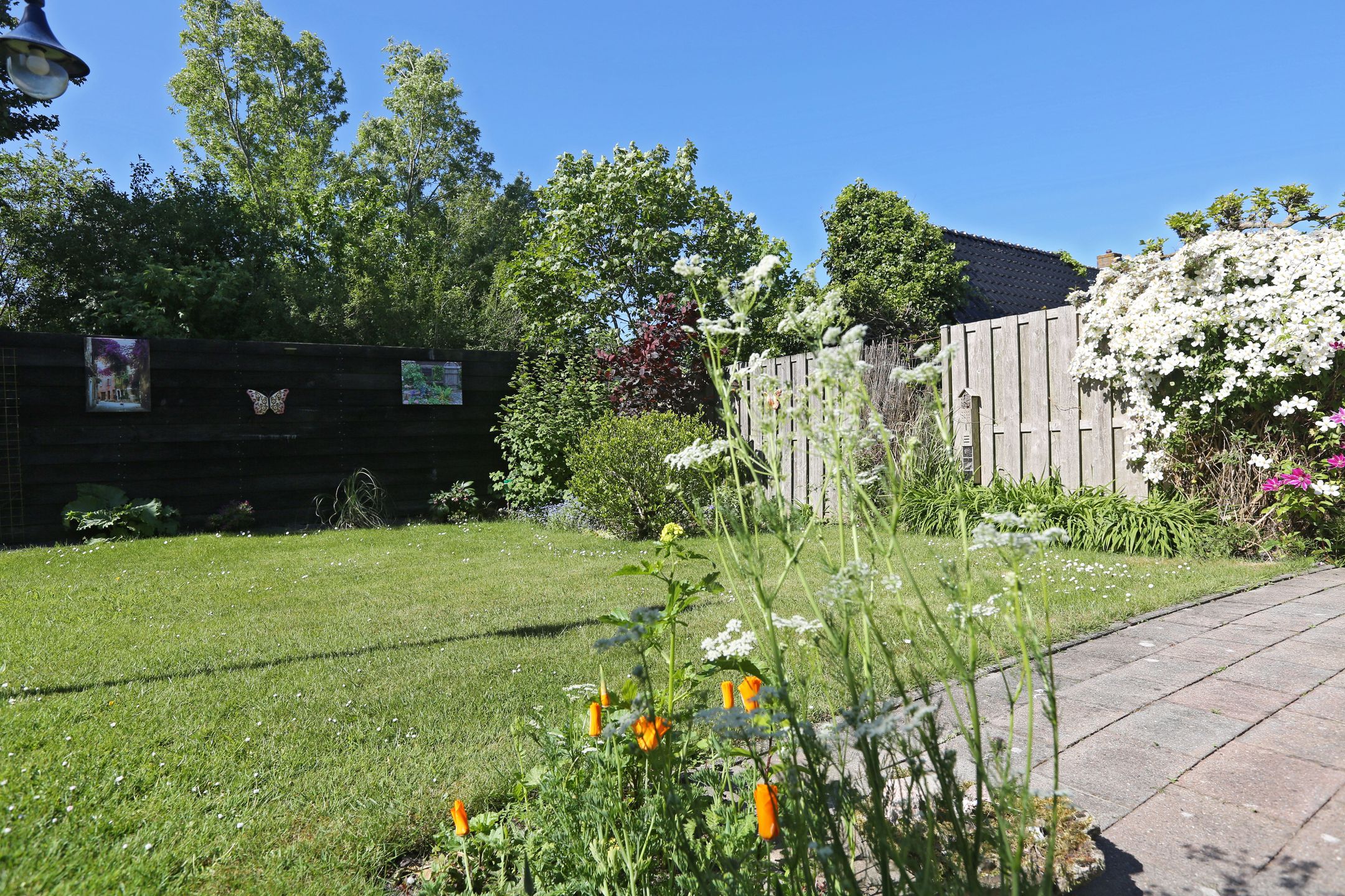 Foto 45 van Wetterroas 6