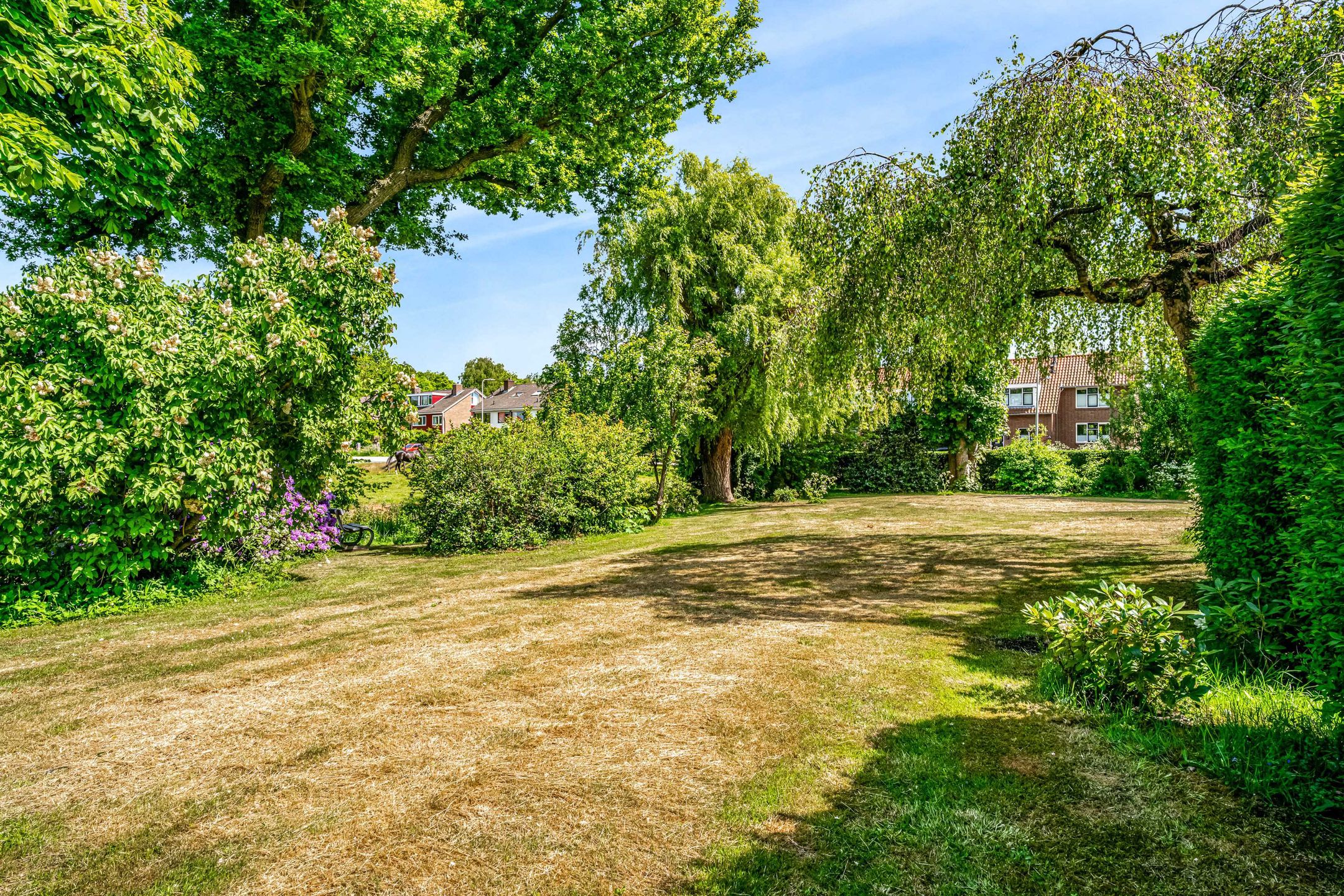 Foto 57 van Lagewaard 28