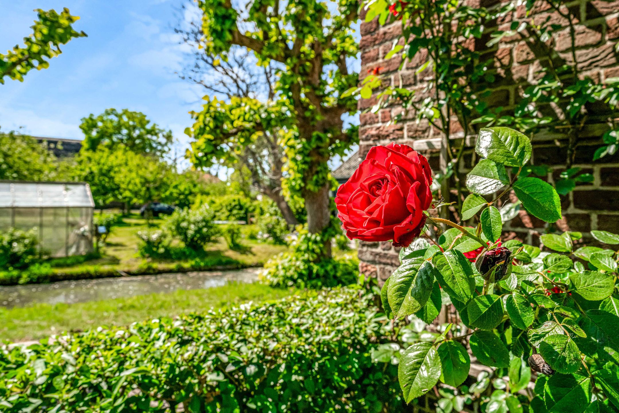 Foto 78 van Lagewaard 28