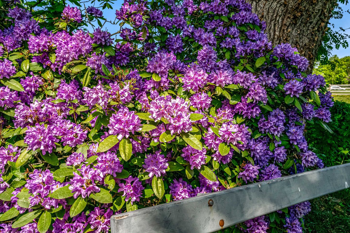 Foto 79 van Lagewaard 28