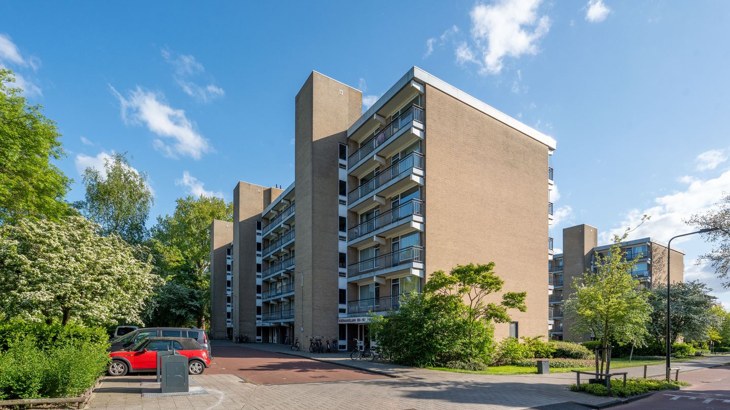 Foto 4 van Boerhaavelaan 171