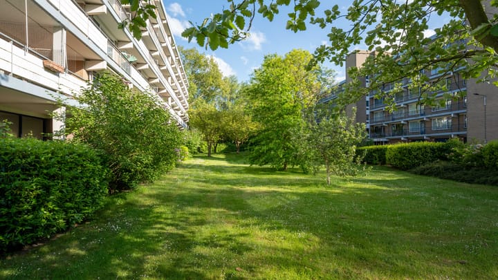 Foto 29 van Boerhaavelaan 171