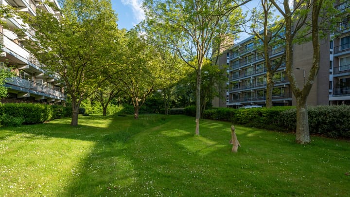 Foto 30 van Boerhaavelaan 171