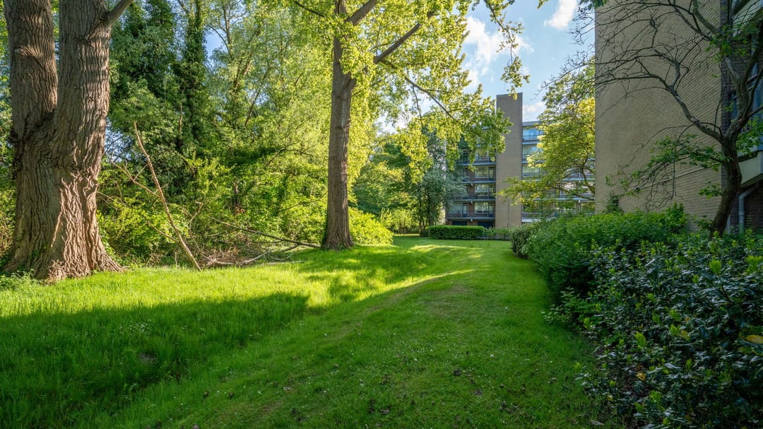 Foto 31 van Boerhaavelaan 171