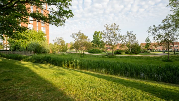 Foto 36 van De Genestetstraat 64