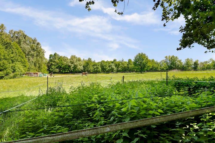 Foto 25 van Huyn van Rodenbroeckstraat 59