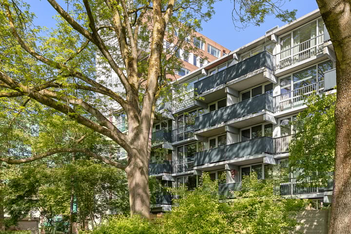 Photo 41 of Meerpaal 86