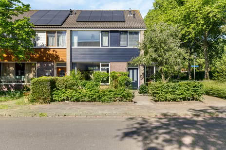 undefined main image