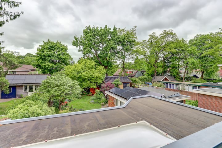 Foto 31 van Prof. Sproncklaan 21