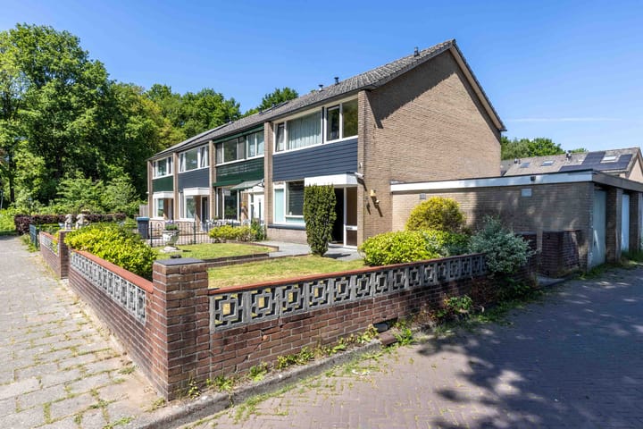 Beltrumbrink 110