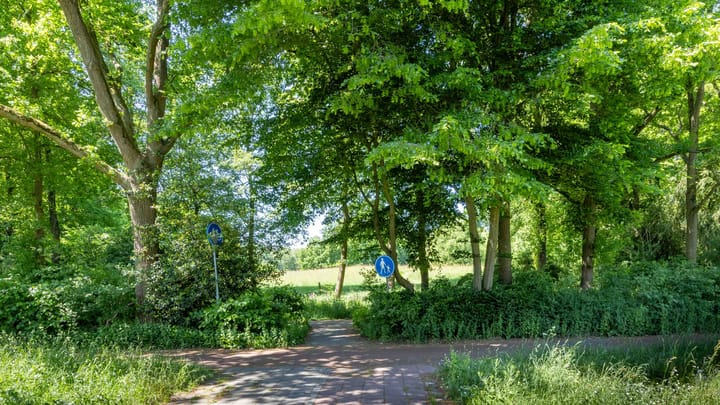 Foto 4 van Beltrumbrink 110