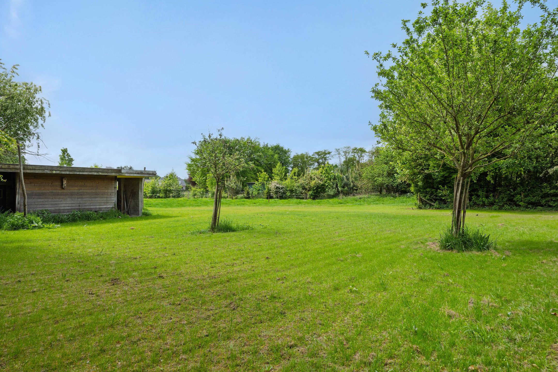 Foto 45 van Bergstraat 15