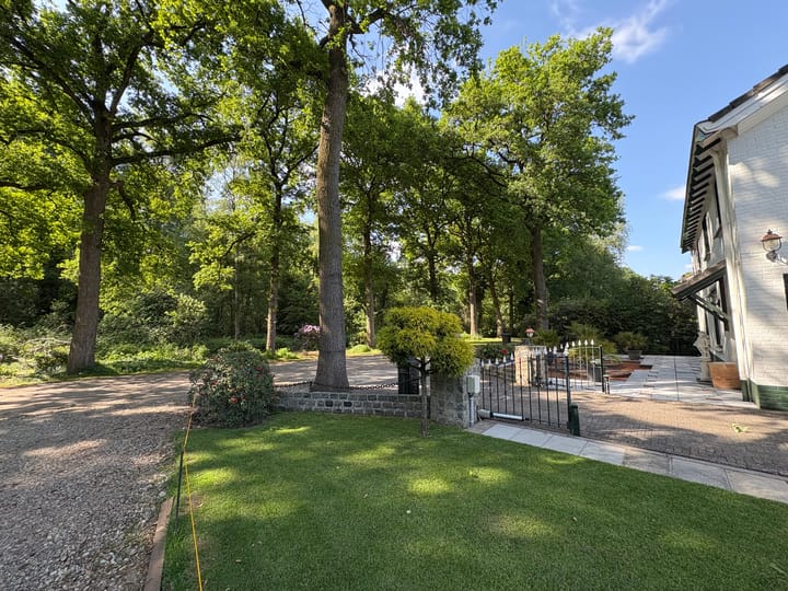 Foto 12 van Oude Rips 4