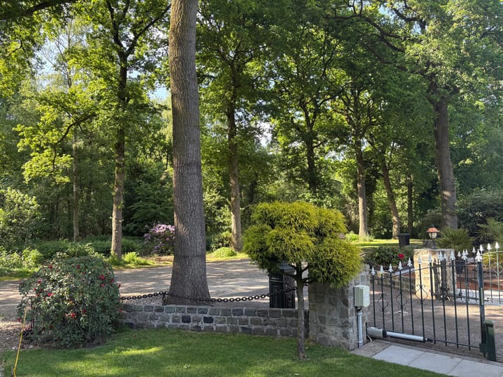 Foto 44 van Oude Rips 4