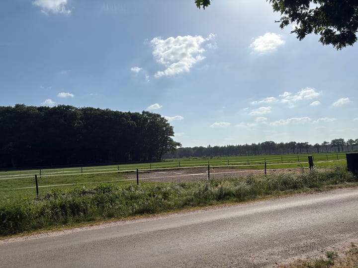 Foto 47 van Oude Rips 4