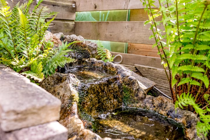 Foto 48 van Bramenstraat 13