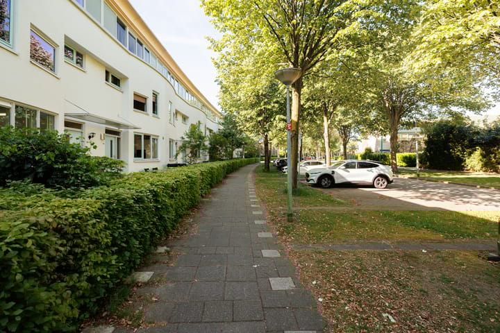 Foto 7 van Hollywoodlaan 146