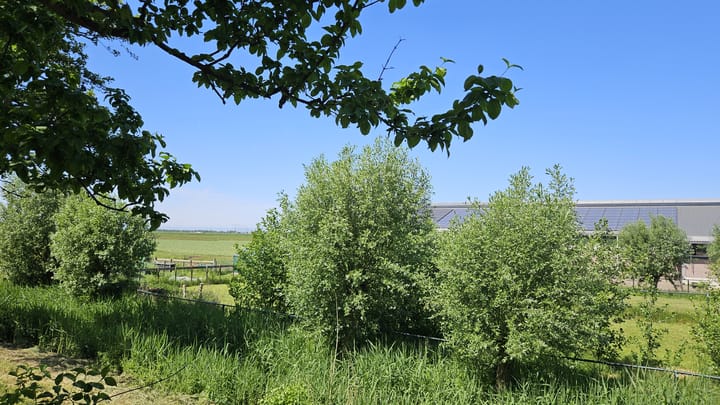 Foto 32 van Lepelaarstraat 4