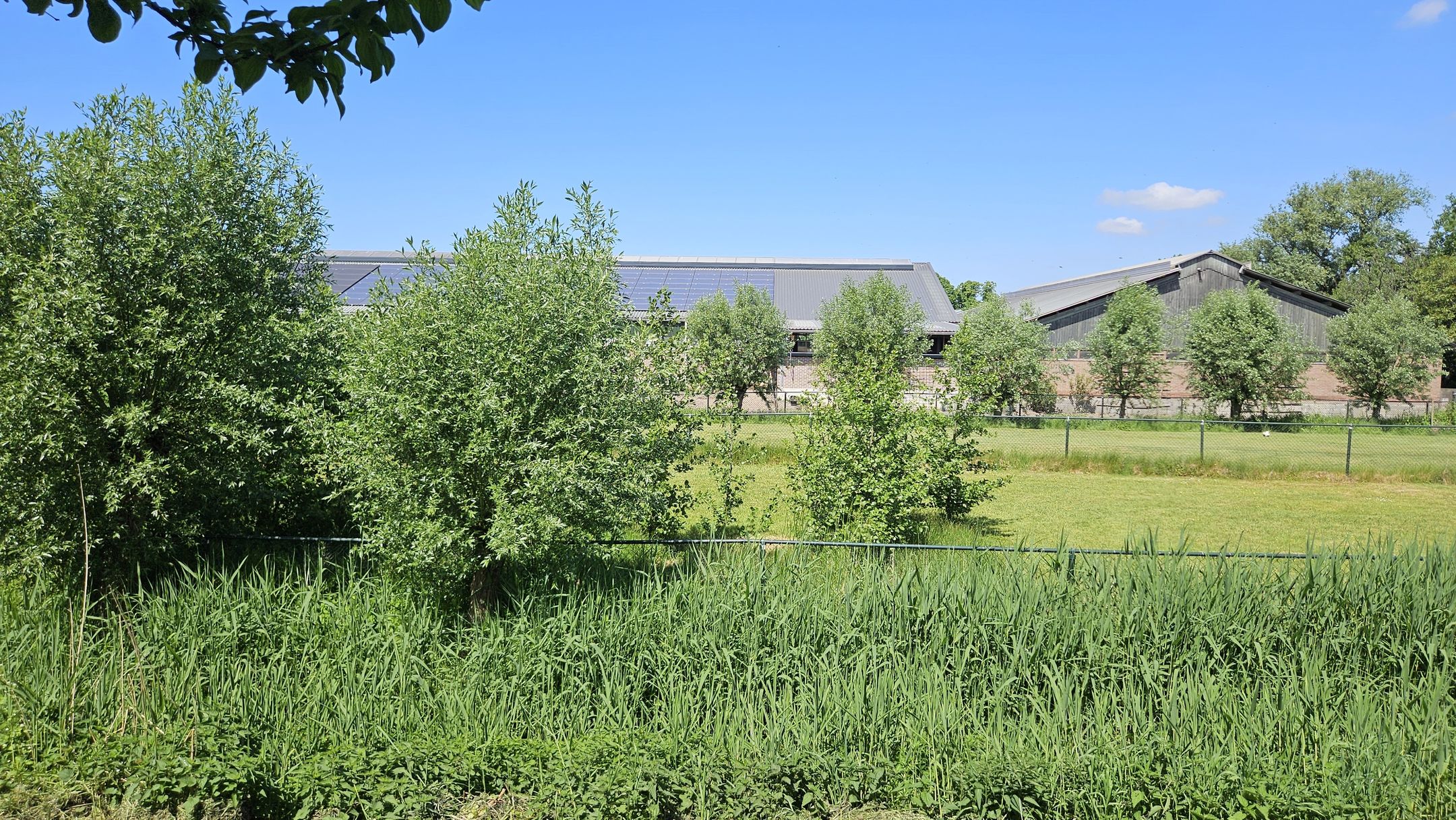 Foto 33 van Lepelaarstraat 4