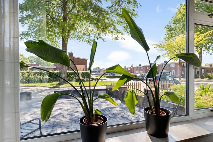 Foto 7 van De Hoven 26