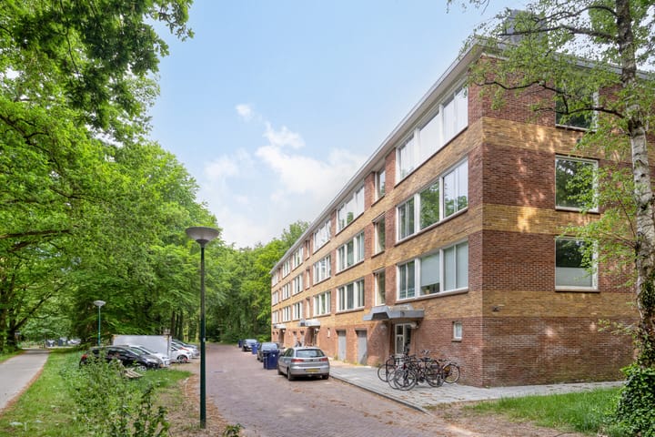 Foto 2 van Plesmanstraat 337