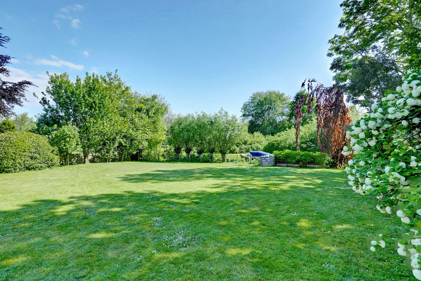 Foto 4 van Binckhorst 65