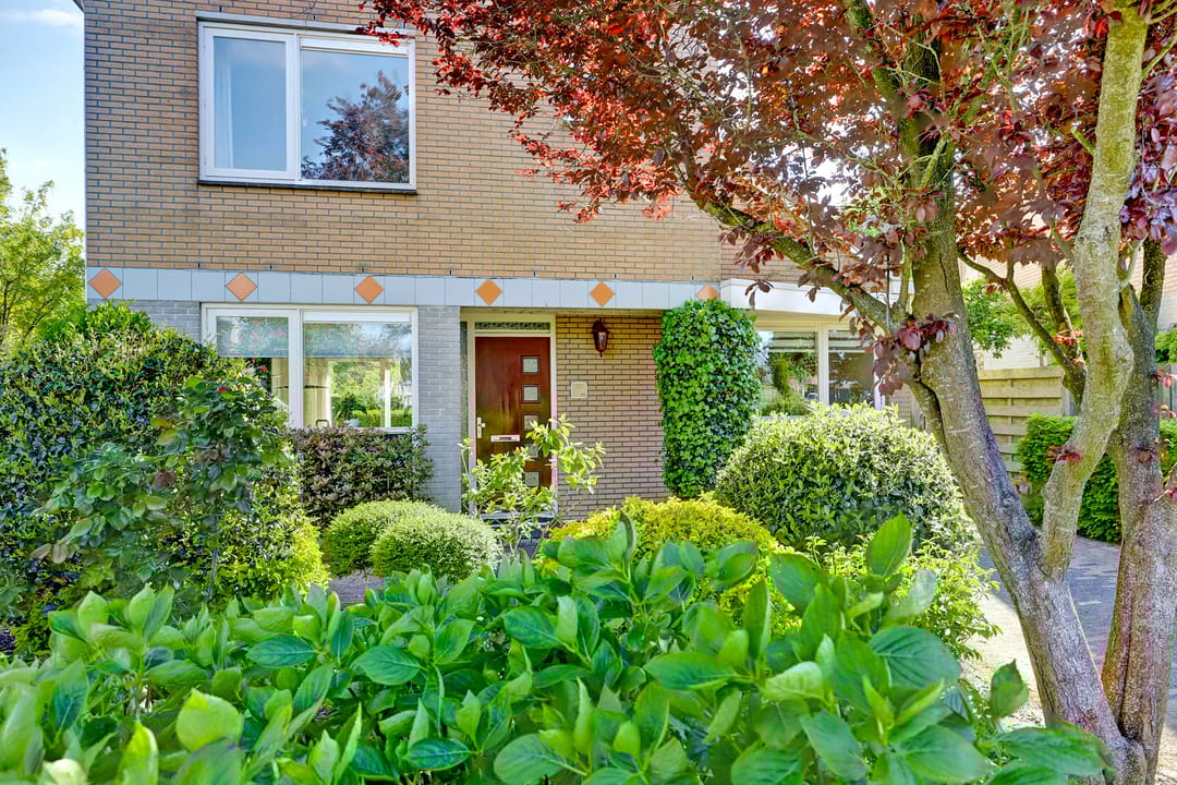 Foto 7 van Binckhorst 65