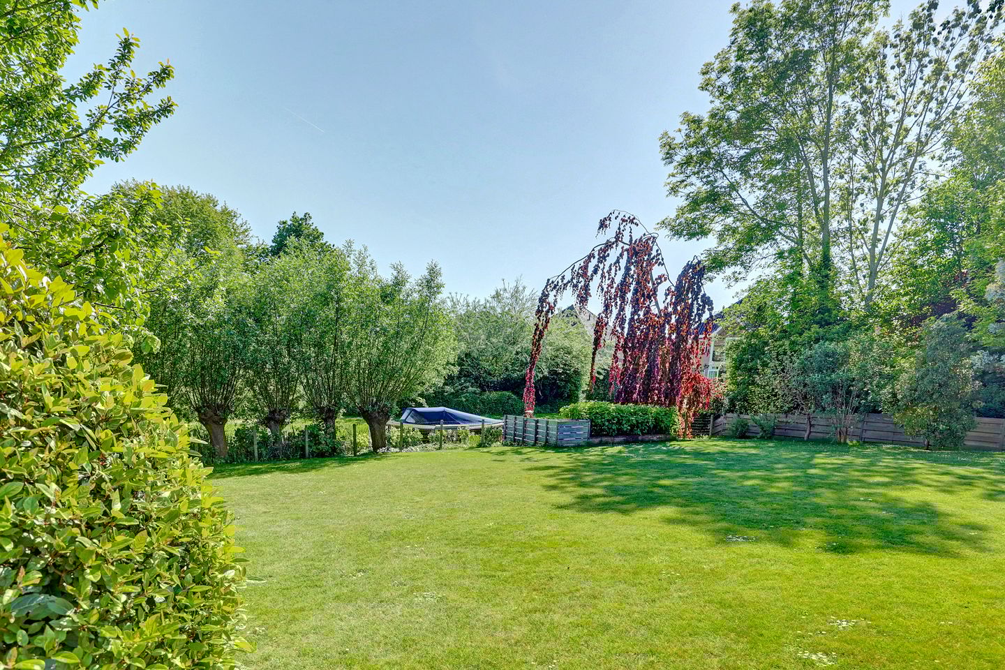 Foto 44 van Binckhorst 65