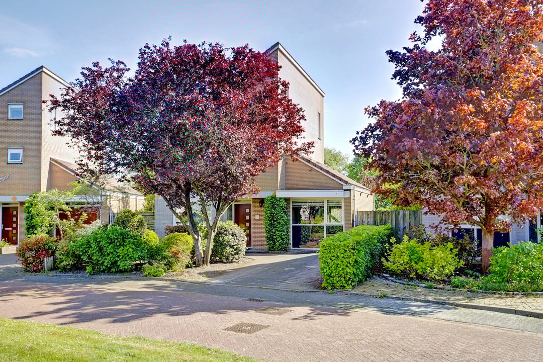 Foto 56 van Binckhorst 65