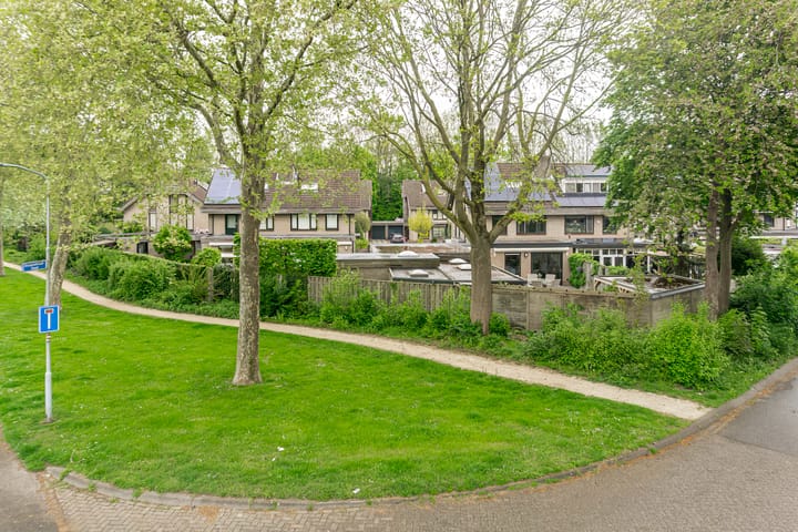 Foto 24 van de Hulk 34