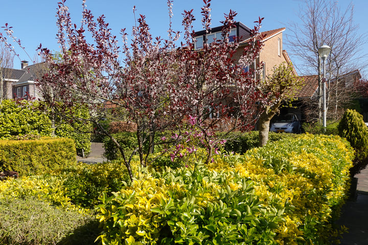 Foto 5 van Moeraswederik 30