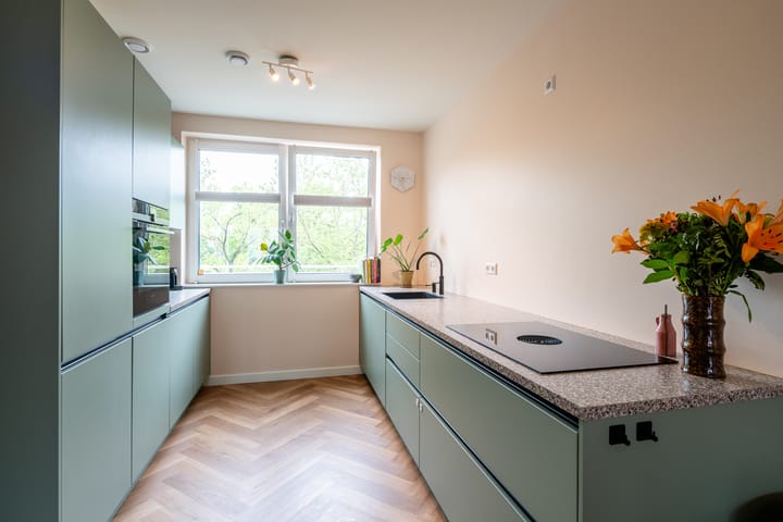 Photo 15 of Sumatraplantsoen 62