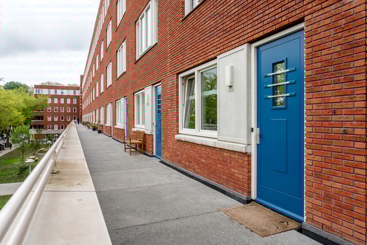 Photo 32 of Sumatraplantsoen 62