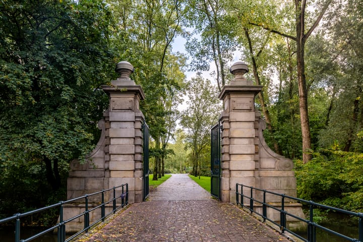 Photo 41 of Sumatraplantsoen 62