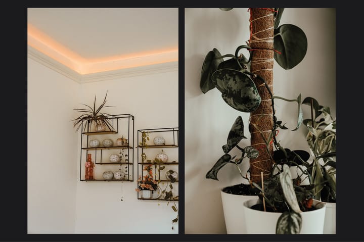 Foto 11 van Karinastraat 26