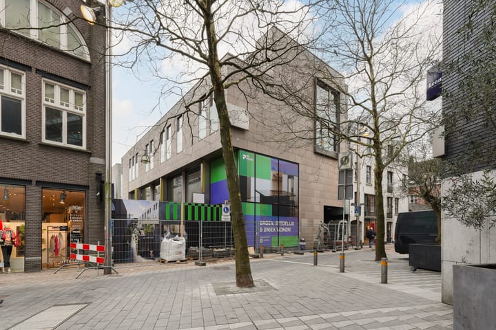 Foto 41 van Pieter Vreedeplein 32